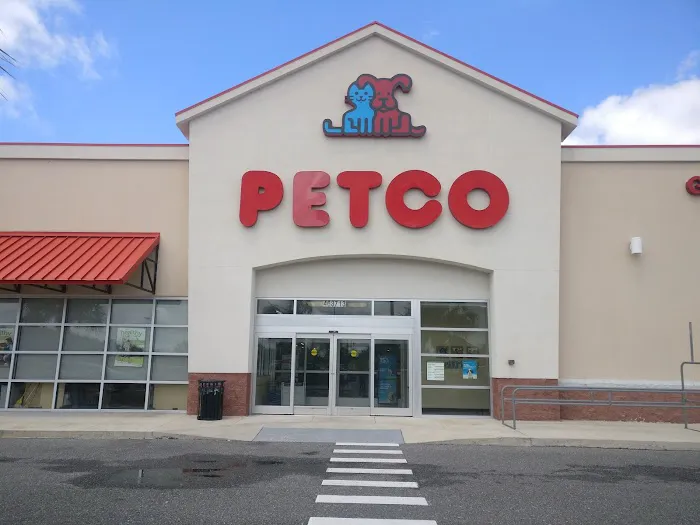 Petco Picture 4