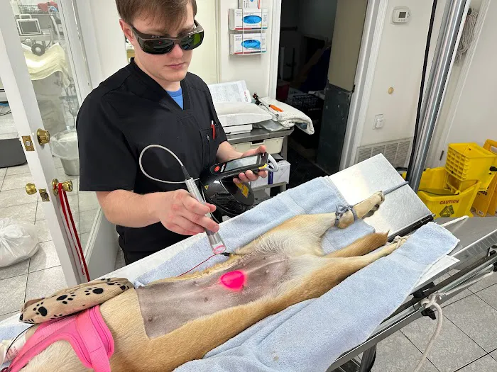 Valley Veterinary Center of Holicong Picture 1