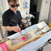 Valley Veterinary Center of Holicong ico