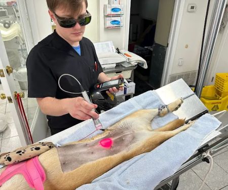 Valley Veterinary Center of Holicong