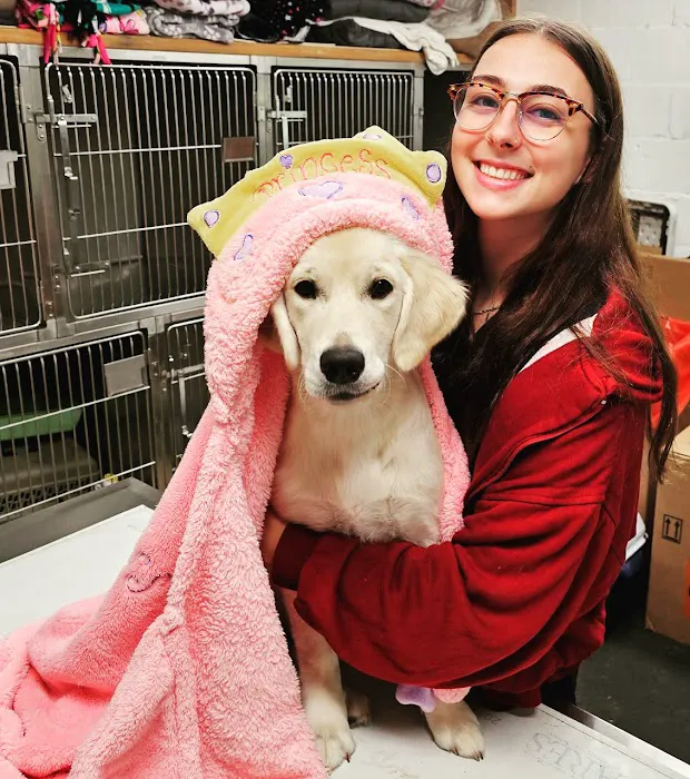 Valley Veterinary Center of Holicong Picture 3