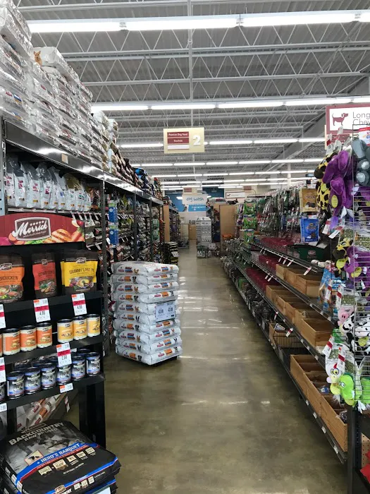 Pet Supplies Plus Atlantic Beach Picture 2