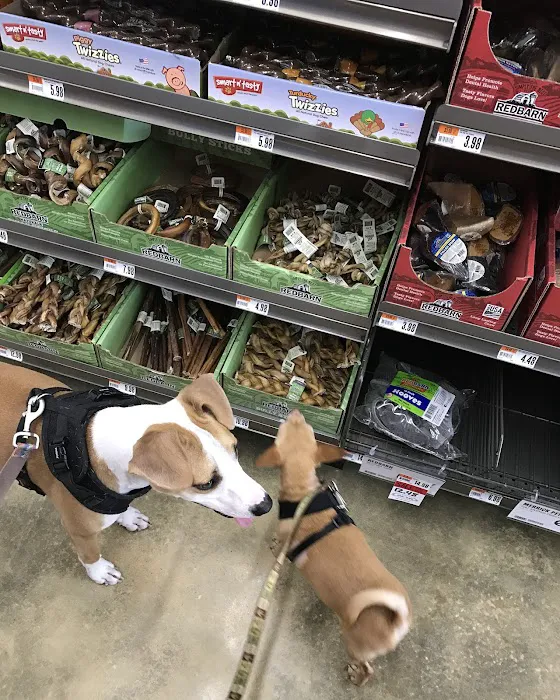 Pet Supplies Plus Atlantic Beach Picture 4