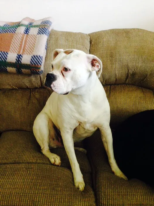 Pet Supplies Plus Atlantic Beach Picture 6