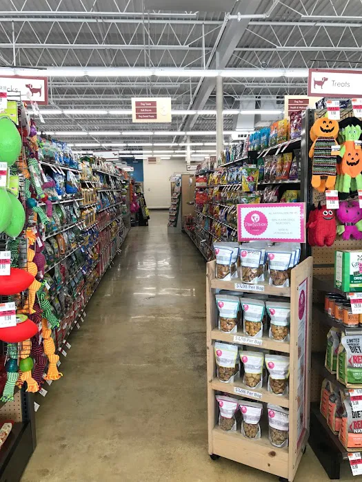 Pet Supplies Plus Atlantic Beach Picture 8