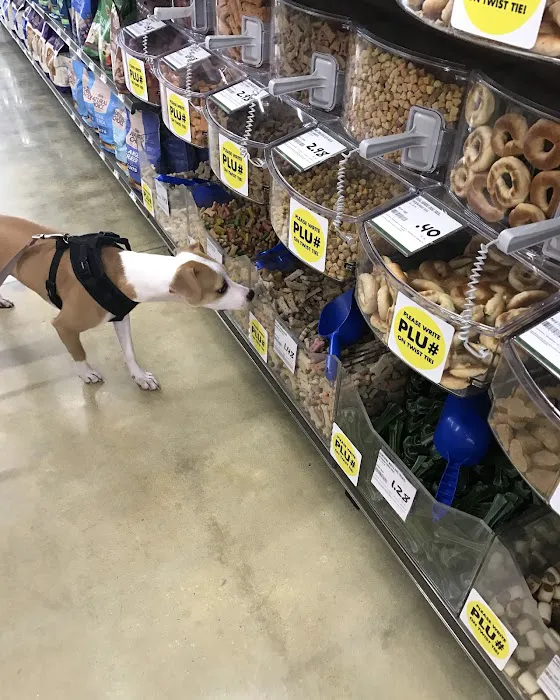 Pet Supplies Plus Atlantic Beach Picture 7