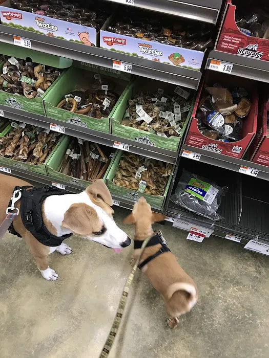 Pet Supplies Plus Atlantic Beach Picture 10