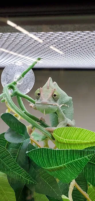 Pet Supplies Plus Atlantic Beach Picture 9