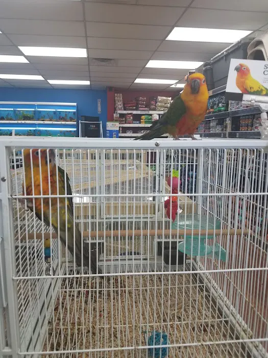 Pet Supermarket Picture 2