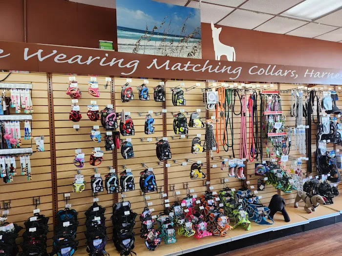 Pet Supermarket Picture 3