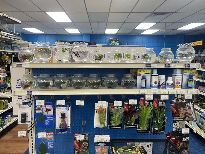 Pet Supermarket Picture 5