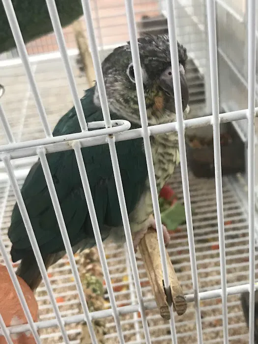 Pet Supermarket Picture 9