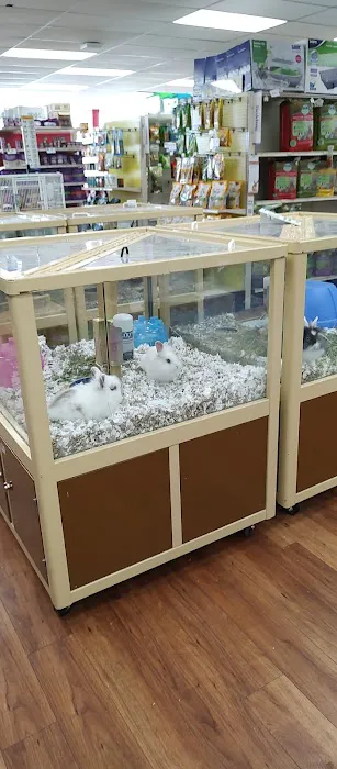 Pet Supermarket Picture 8