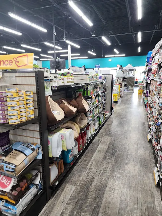 Pet Supermarket Picture 4