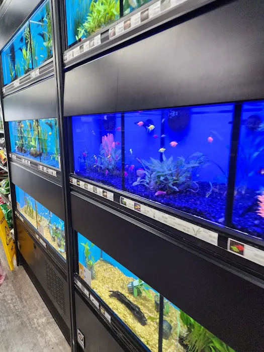 Pet Supermarket Picture 7
