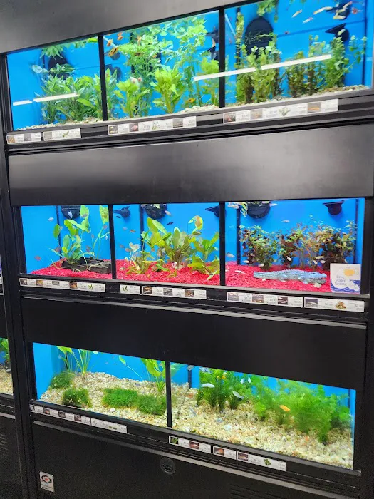 Pet Supermarket Picture 8