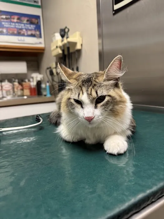 Warren Animal Hospital Picture 2