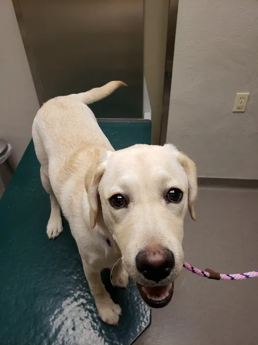 Warren Animal Hospital Picture 1