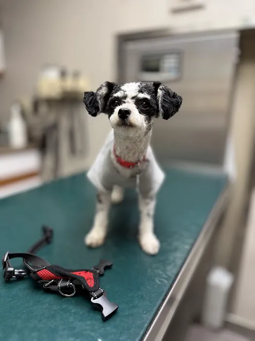Warren Animal Hospital Picture 6