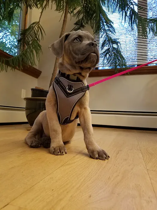 Warren Animal Hospital Picture 7