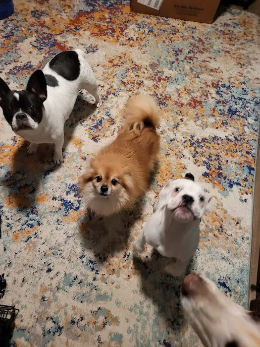 Warren Animal Hospital Picture 8