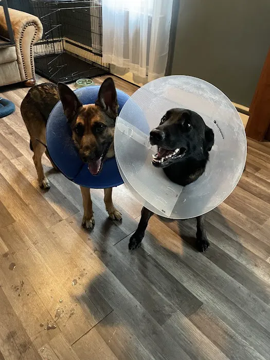 Warren Animal Hospital Picture 9