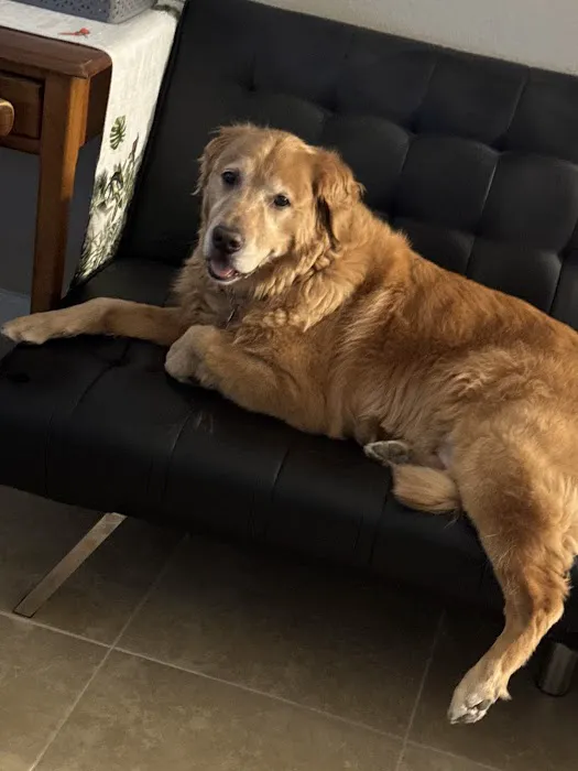 Pet Supplies Plus Yulee Picture 3