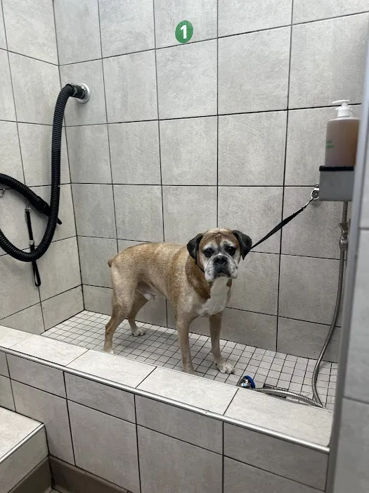 Pet Supplies Plus Yulee Picture 5