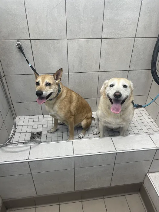 Pet Supplies Plus Yulee Picture 4