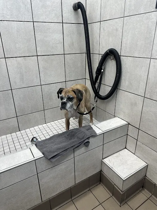 Pet Supplies Plus Yulee Picture 8