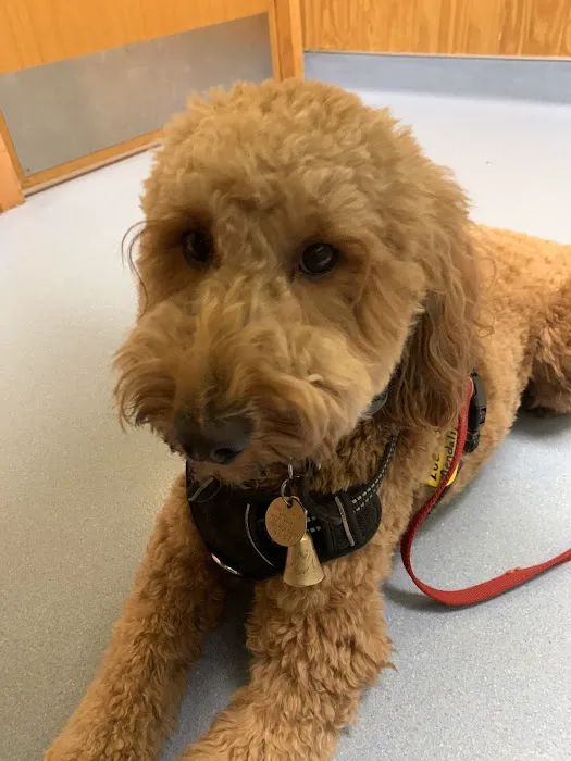 Harmony Animal Hospital Picture 3