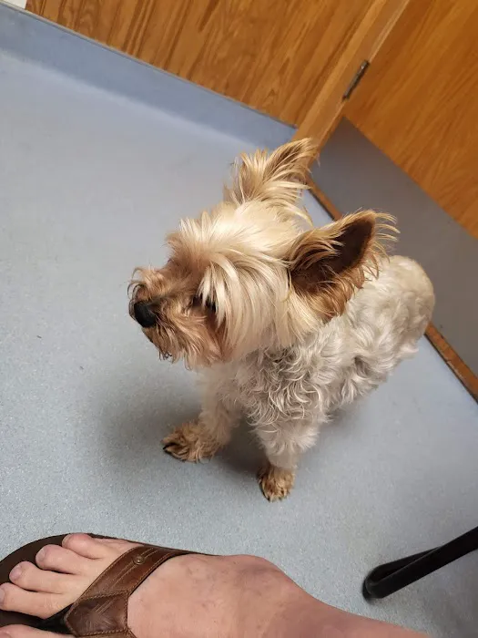 Harmony Animal Hospital: Epple W N DVM Picture 2