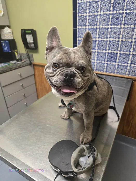 Harmony Animal Hospital: Epple W N DVM Picture 3