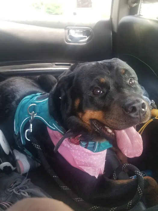 Harmony Animal Hospital: Epple W N DVM Picture 7