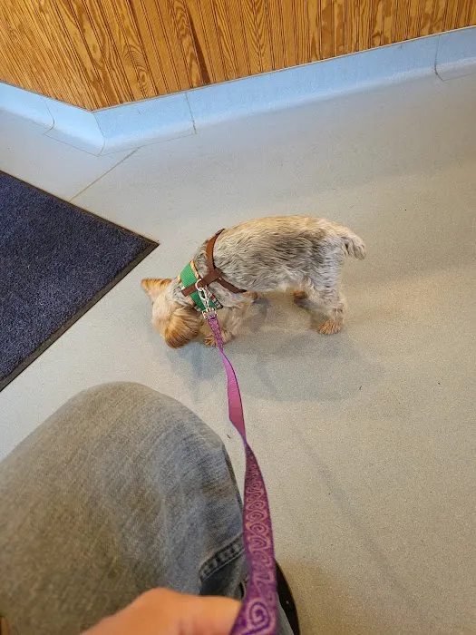 Harmony Animal Hospital: Epple W N DVM Picture 9