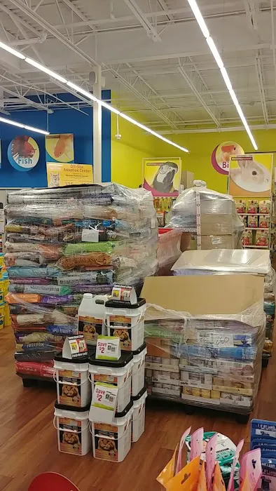 Pet Supermarket Picture 3