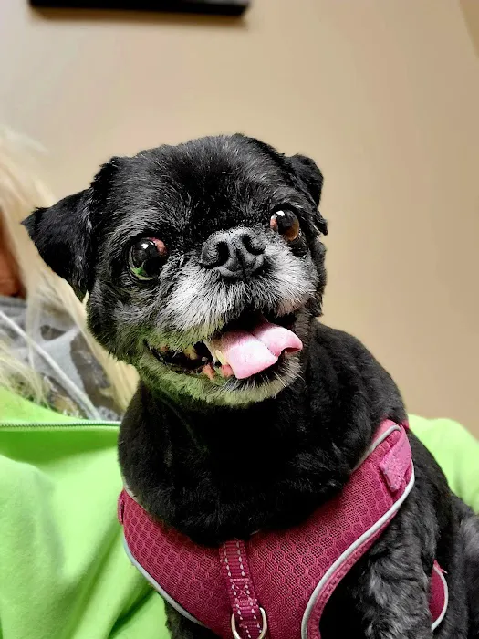 Canyon River Run Vet Clinic Picture 4