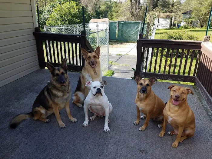 Canyon River Run Vet Clinic Picture 7