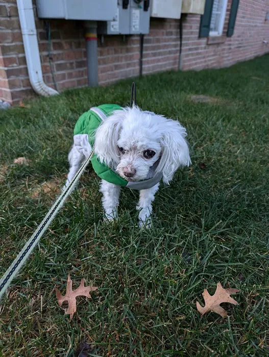 Canyon River Run Vet Clinic Picture 9