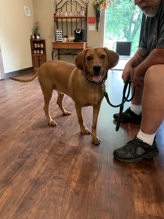 Canyon River Run Vet Clinic Picture 8