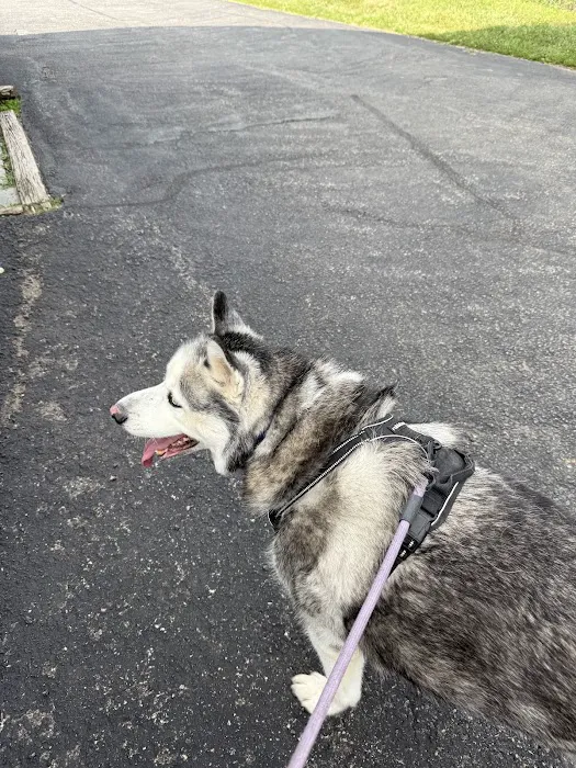 Spring Mills Veterinary Hospital Picture 1