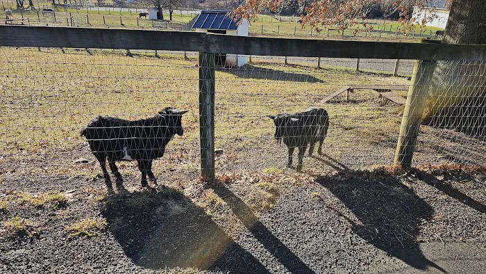 Spring Mills Veterinary Hospital Picture 4