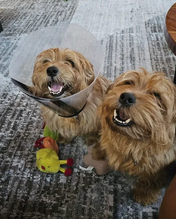 Spring Mills Veterinary Hospital Picture 9