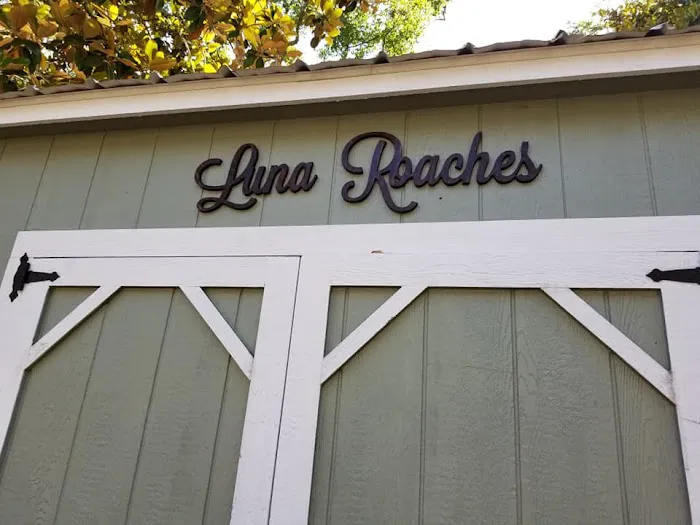 Luna Roaches Picture 3