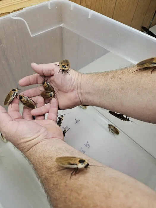 Luna Roaches Picture 5