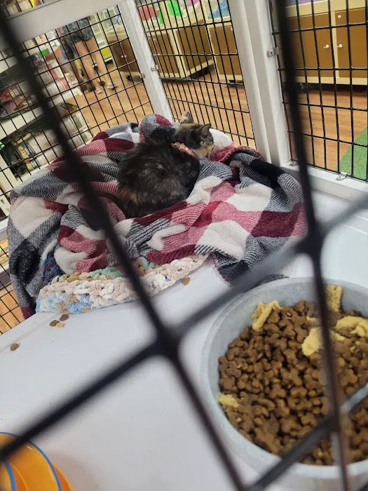 Pet Supermarket Picture 5