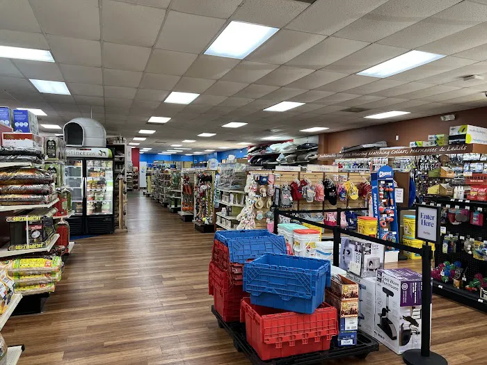 Pet Supermarket Picture 6