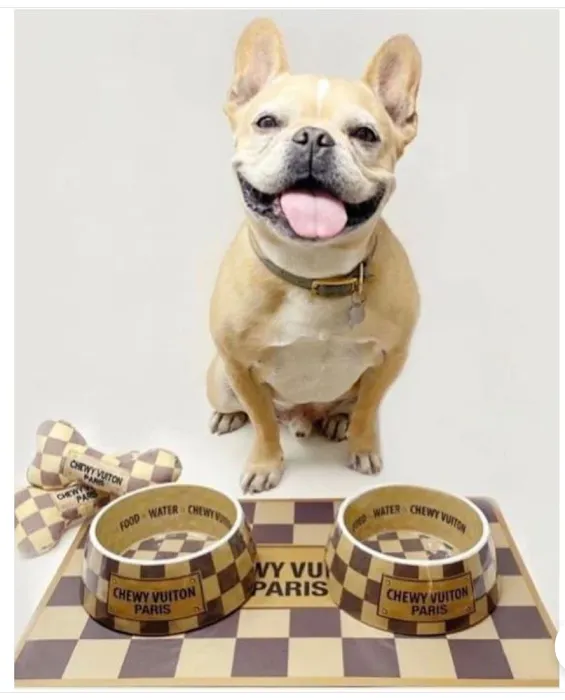 Dexters Pet Boutique Picture 1