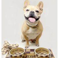 Dexters Pet Boutique ico