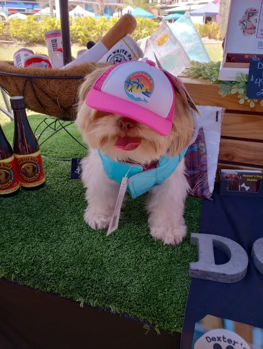 Dexters Pet Boutique Picture 5